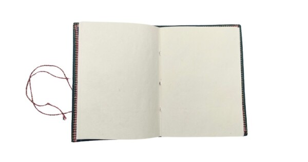 notitieboek Diary 20x15x1cm blauw en rose multicolor A5