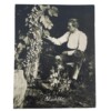 notitieboek Blossfeldt