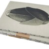 notitieboek Blossfeldt 21x27x1cm blanco vellen
