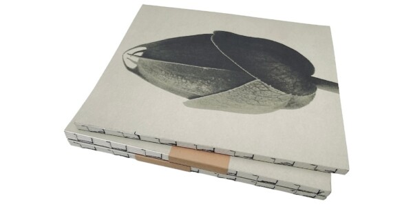notitieboek Blossfeldt 21x27x1cm blanco vellen