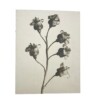 notitieboek Blossfeldt 15x19x1cm blanco vellen