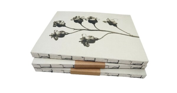 notitieboek Blossfeldt 15x19x1cm blanco vellen