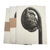 notitieboek Blossfeldt 15x19x1cm blanco vellen